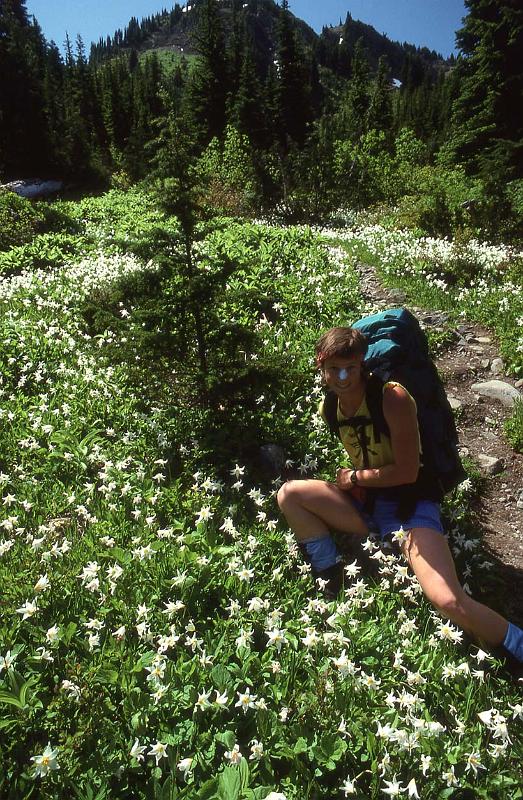 Bailey Trav 009 Aug-1989 Jeanne and Avalanche Lilies.jpg